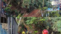 Insiden Penebangan Pohon di Kantor Pertanahan Depok, Layanan Tetap Normal