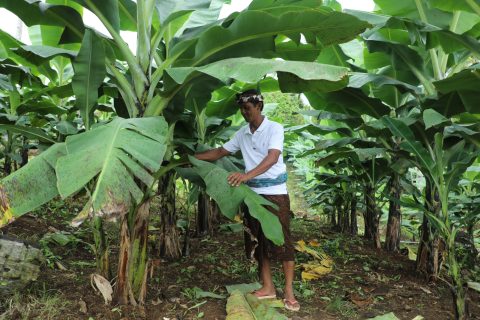 Sertipikat Tanah Adat Asahduren Jembrana Buka Peluang Kerja dan Ekonomi