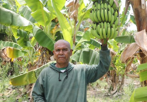 Sempat Menolak, Kini Warga Baumata Syukuri Manfaat Penataan Lahan