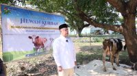 Menteri Nusron Serahkan Kurban Sekaligus Peringati Milad ke-70 Ponpes Attaqwa