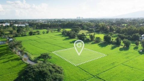 Masyarakat Perlu Tahu, Begini Ketentuan Pemisahan Bidang Tanah
